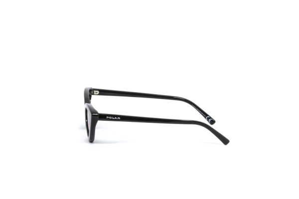 POLAR BLUEBERRY COL.77