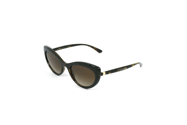 DOLCE&GABBANA DG6124 502/13