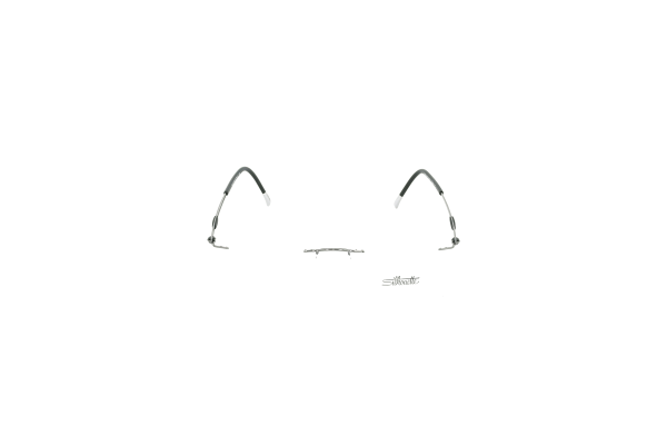 SILHOUETTE 5521 6560