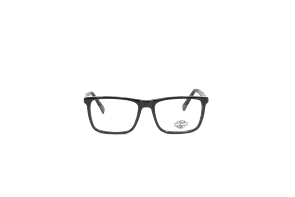 HARLEY DAVIDSON HD0808 001