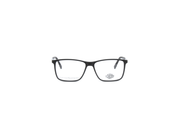 HARLEY DAVIDSON HD0796 002